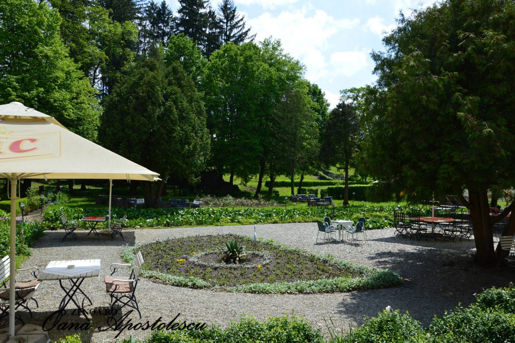 Bruckental_Avrig_zenoa.ro