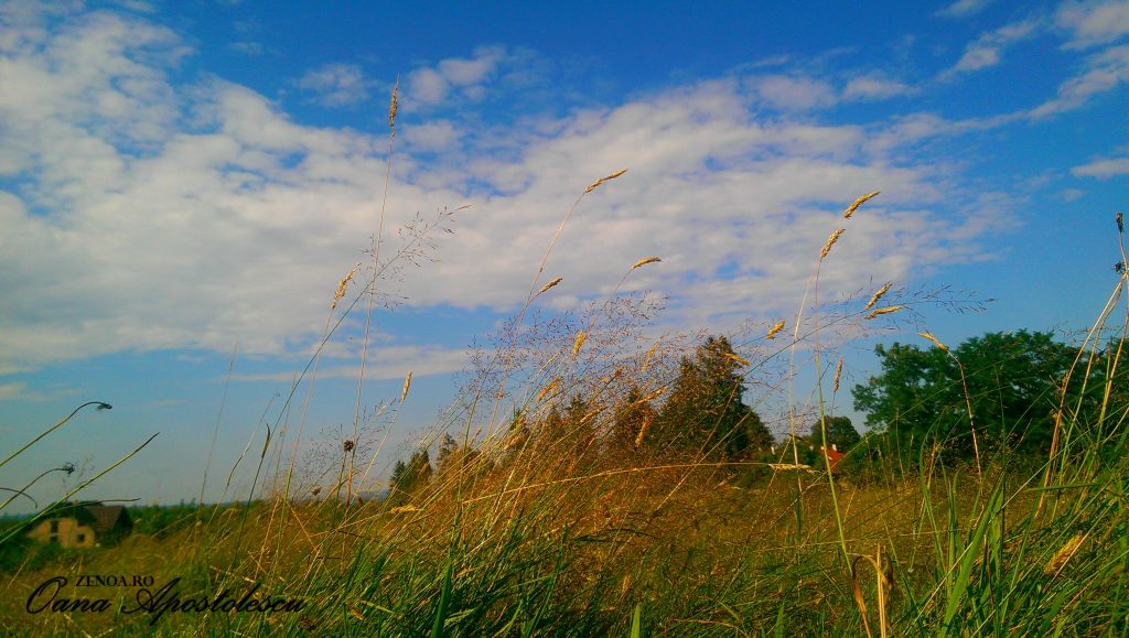 Cetatea_Fagaras_zenoa.ro