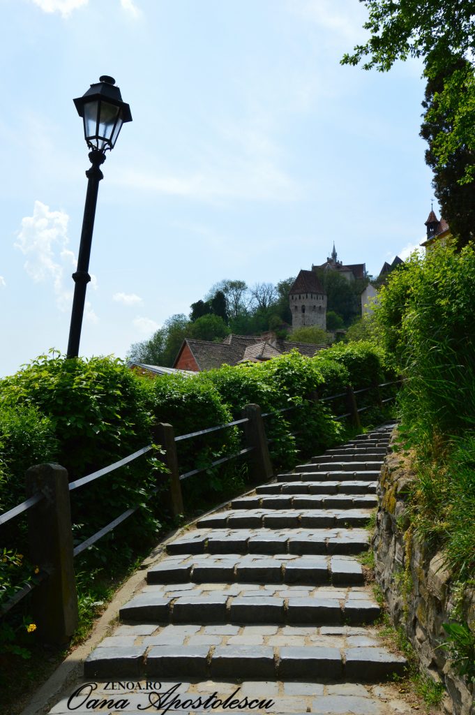 Sighisoara_zenoa.ro